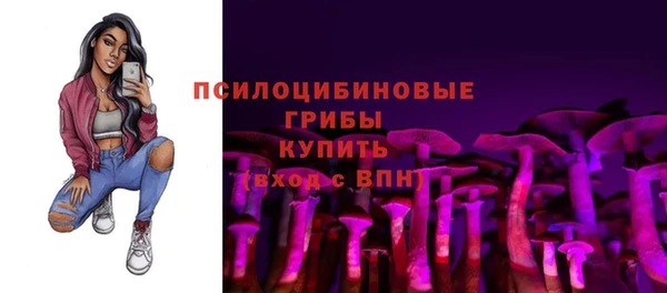 синтетический гашиш Арсеньев
